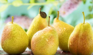 花椒梨止咳的做法大全（花椒梨做法窍门）