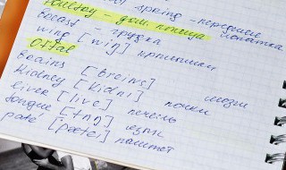 eel怎么读（ee怎么读）