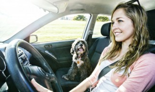 k5是什么意思 k5是什么意思呢字母圈