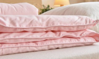 大豆纤维和聚酯纤维的区别（大豆被好还是聚酯纤维被好）