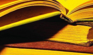 缝合怪什么意思（缝合怪什么意思lol）