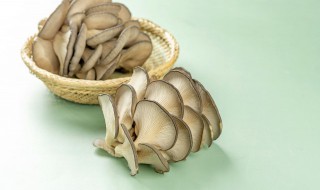 自己在家如何种蘑菇 自己在家如何种蘑菇种子