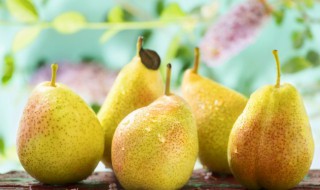 冻梨的做法(冻梨怎么吃)