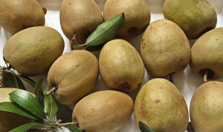 人心果怎么催熟 人心果怎么催熟吃