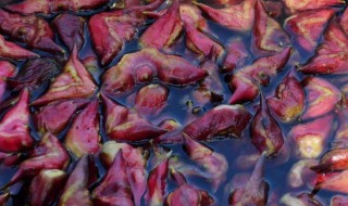 嫩菱角怎么吃好吃（嫩菱角怎么吃好吃又简单）