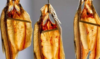 夏天怎么晒鱼干不会坏（夏天怎么晒鱼干不会坏呢）