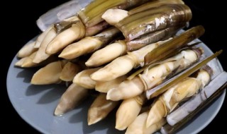 蛏王肉怎么处理干净 蛏王肉怎么处理干净图片