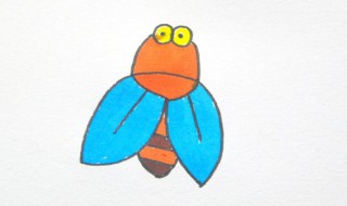 知了怎么放冰箱保存 知了怎样放冰箱冷冻