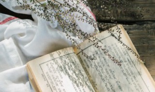 886什么意思网络用语（886什么意思网络用语啊）