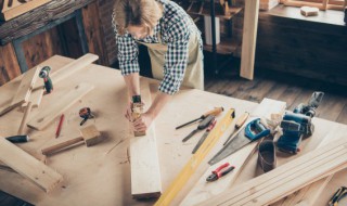 锯木屑怎么发酵 锯木屑怎么发酵快