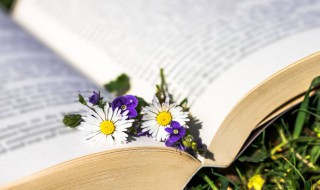 姐姐贴贴是什么意思梗(姐姐贴贴是什么意思怎么回答)