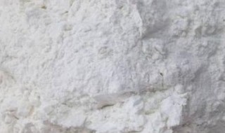 白面怎么放才能不生虫子 大量面粉如何长期保存方法