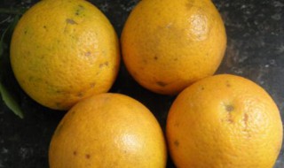 橙子怎么保存不会烂 橙子怎么保存不会烂皮