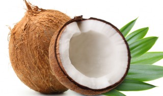 怎么开青椰子 怎么开青椰子壳取椰肉