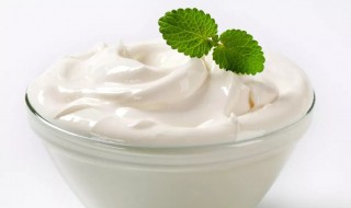 养生壶如何做酸奶(养生壶如何做酸奶视频)