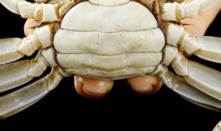 螃蟹如何洗 螃蟹如何洗更干净