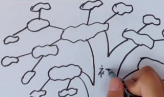 树状图怎么画（树状图思维导图）