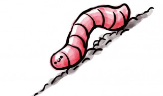 家里跳虫如何产生的 家里跳虫如何产生的呢