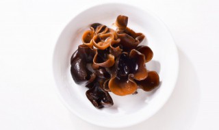 正确泡木耳的方法（木耳的正确泡法及时间）