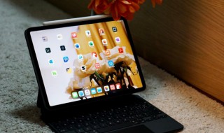 ipad怎么换主题 苹果ipad怎么换主题