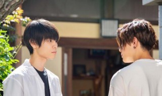 八木勇征个人资料简介（八木树学名叫什么）