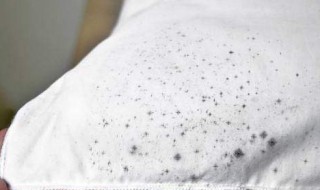 如何去除发霉的斑点（如何去除发霉的斑点图片）