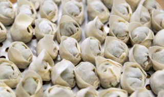 肉燕和馄饨的区别 肉燕皮是什么做的