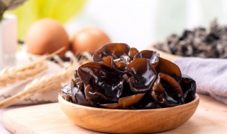 木耳凉拌菜怎么做好吃(木耳凉拌菜怎么做好吃窍门)