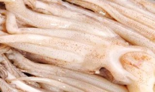 鱿鱼切花刀切哪个面（切鱿鱼切哪一边才卷）