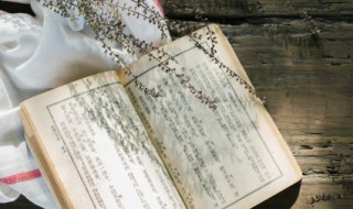 欲上青天揽明月的意思 我待清风如明月,不及明月照我心