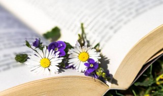 旯旮是什么意思（肎的意思）