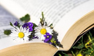 黄锦是什么意思（黄锦是什么意思建军节视频）