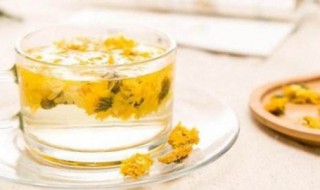 冰糖菊花茶的功效与作用（白菊花泡水喝的功效）