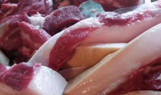 怎么分辨母猪肉（分辨母猪肉最简单的图片）