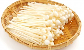 炒金针菇怎么做好吃（金针菇怎么做好吃又简单）