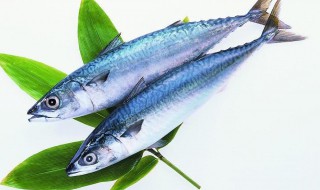 怎么做鲅鱼好吃（怎样做鲅鱼好吃又简单视频）