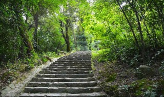 岳麓山海拔多少米 岳麓山多高,走上去多久