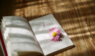 旦日飨士卒的飨的用法(旦日飨士卒的飨什么意思)