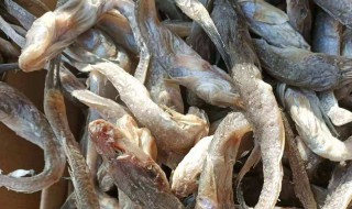 油光鱼怎么做好吃 红烧油光鱼的做法大全