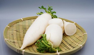 腌萝卜干咸菜做法大全（腌萝卜干的做法视频）