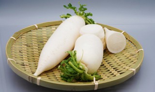 鸭子烧萝卜怎么做好吃 鸭子与啥一起红烧好吃