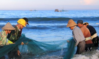 炖鱼头怎么炖好吃（鱼头怎么做最好吃）