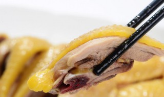 怎么炖小鸡好吃（怎么炖小鸡好吃又简单易学）