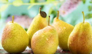 怎么炖梨 怎么炖梨治咳嗽