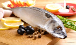 怎么炖鲅鱼（怎么炖鲅鱼最好吃）