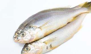 炖鱼怎么炖好吃（炖鱼怎么炖好吃家常做法）