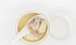 炖鸽子怎么炖 鸽子怎么炖才有营养