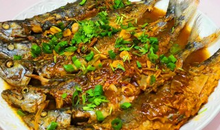 炖鲅鱼怎么做好吃 焖鲅鱼的家常做法