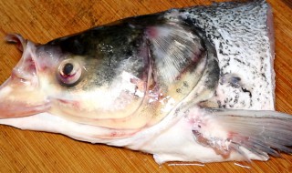 金枪鱼鱼头怎么做好吃 金枪鱼鱼头怎么做最好吃