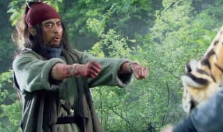 武行者夜走蜈蚣岭概括 武行者夜走蜈蚣岭概括50字